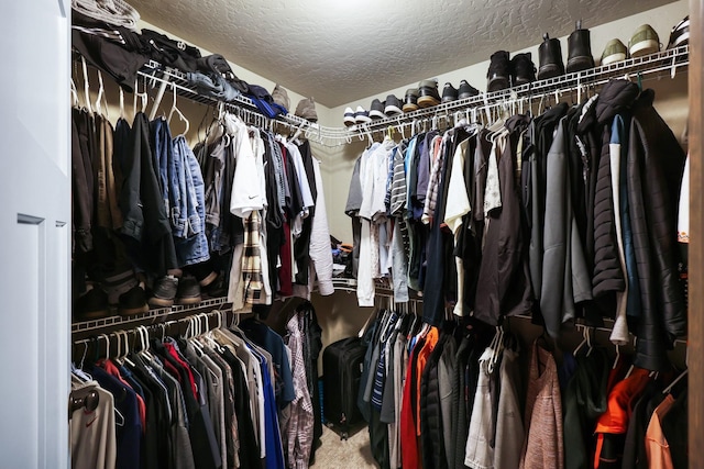 walk in closet featuring carpet flooring