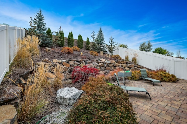 view of yard with a patio and a fenced backyard