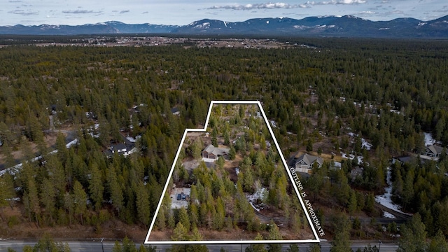 bird's eye view with a mountain view and a forest view