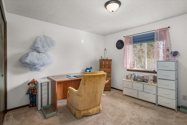 office area featuring light colored carpet, baseboards, and a textured ceiling