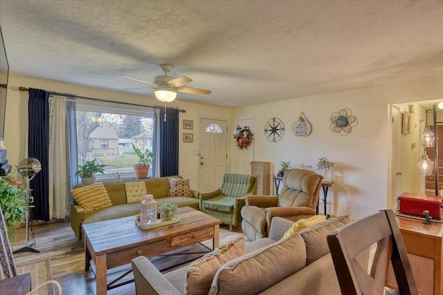 living room featuring ceiling fan, wood finished floors, and a textured ceiling