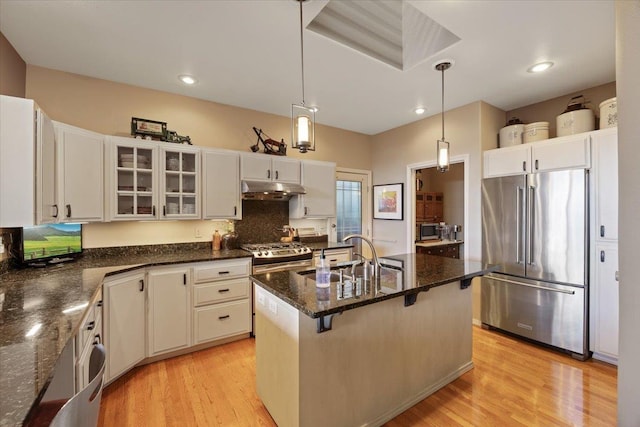 kitchen featuring under cabinet range hood, dark stone counters, light wood-type flooring, stainless steel appliances, and a sink