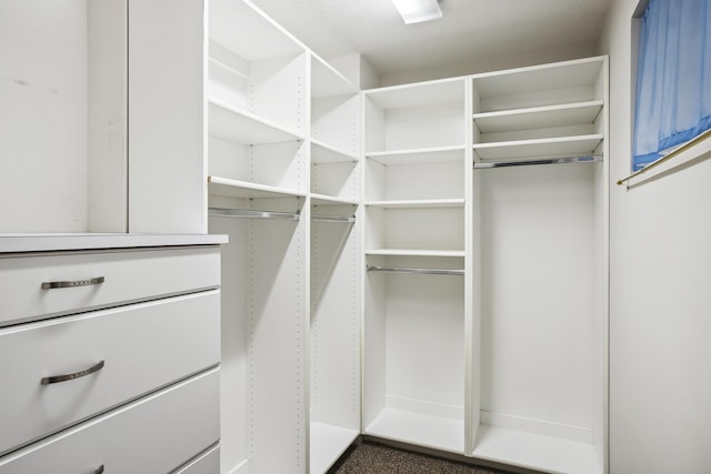 view of walk in closet