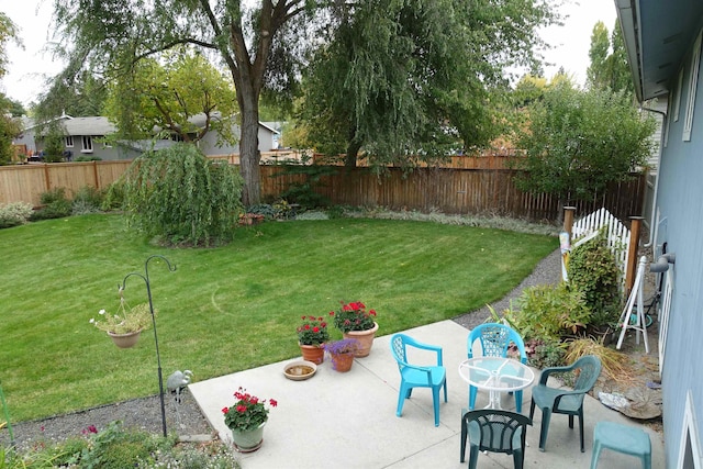 view of yard with a patio area and a fenced backyard