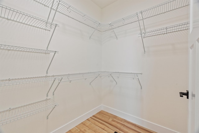 spacious closet with light wood-style flooring