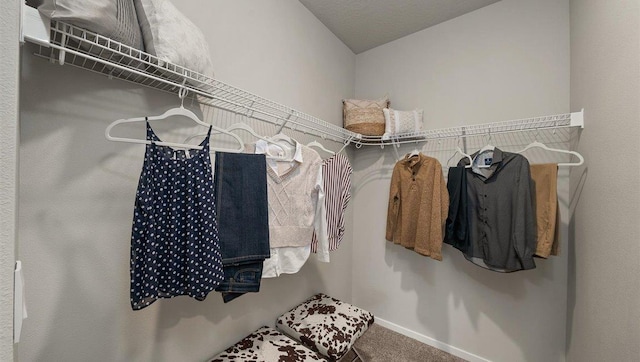 spacious closet with carpet floors and lofted ceiling