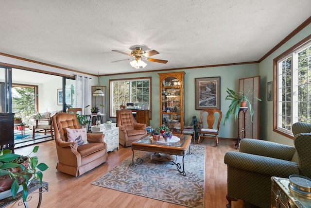 living area with ornamental molding, a ceiling fan, light wood finished floors, and a textured ceiling