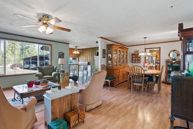 living area with ceiling fan with notable chandelier, a textured ceiling, ornamental molding, and light wood finished floors