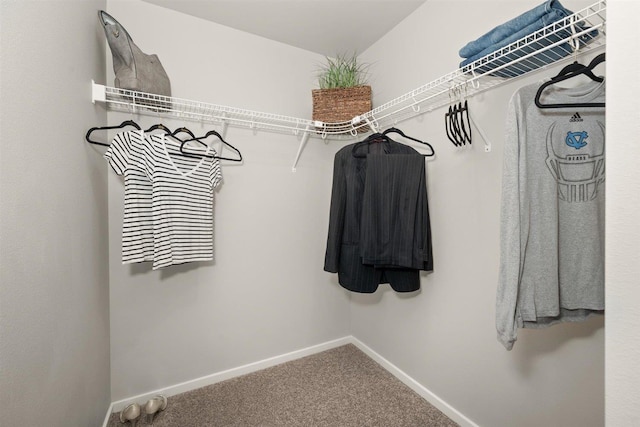 spacious closet featuring carpet