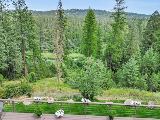 32410 N Ridge Rd, Chattaroy, WA 99003 - photo 33