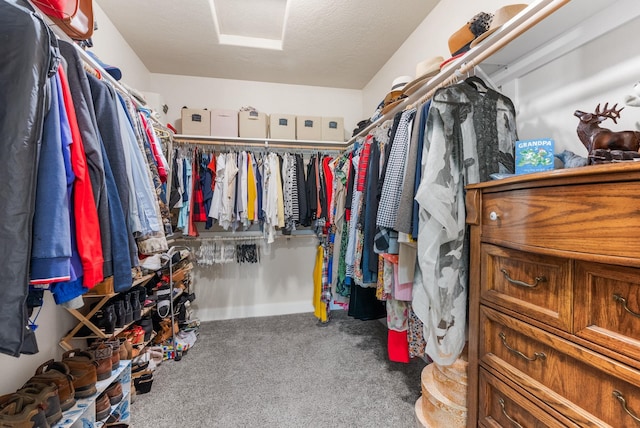 walk in closet featuring carpet floors