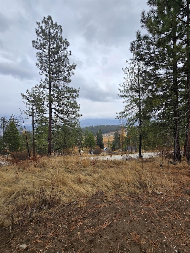 974 Skyview Way, Colville WA, 99114 land for sale