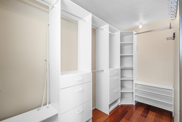 spacious closet with dark wood finished floors