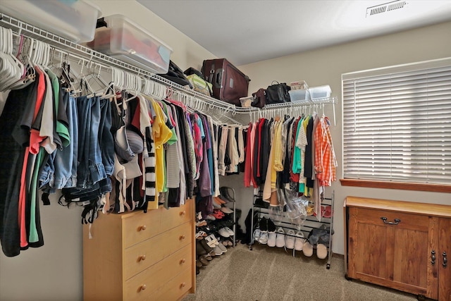 walk in closet with visible vents and carpet