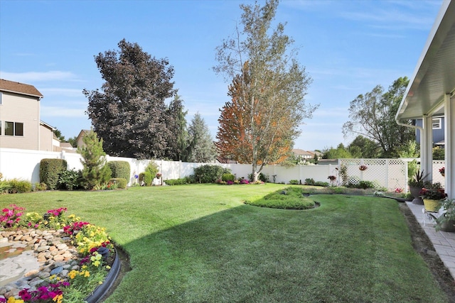 view of yard with a fenced backyard