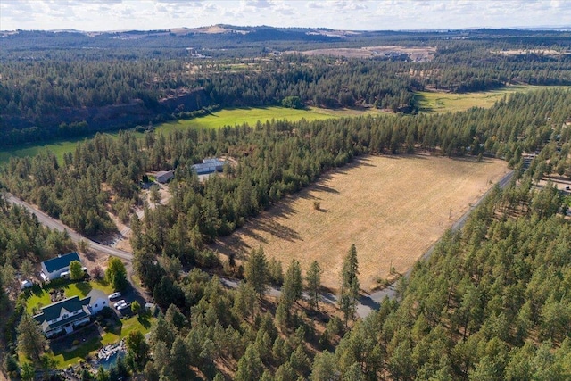 aerial view with a forest view