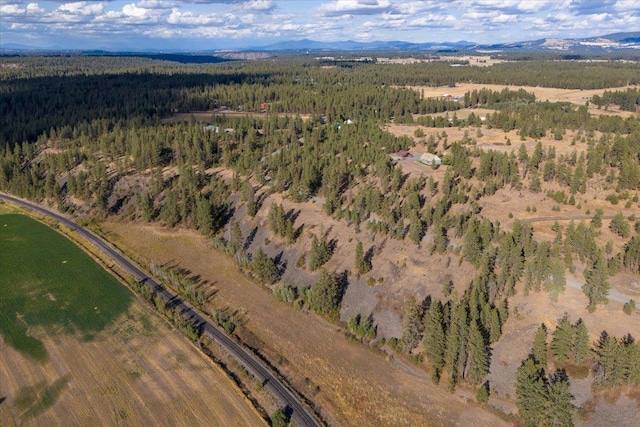 birds eye view of property with a mountain view and a wooded view