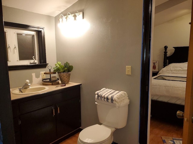 bathroom with vanity, wood finished floors, ensuite bathroom, and toilet