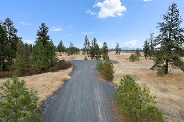 2103 E Red Barn Ln, Spangle WA, 99031 land for sale