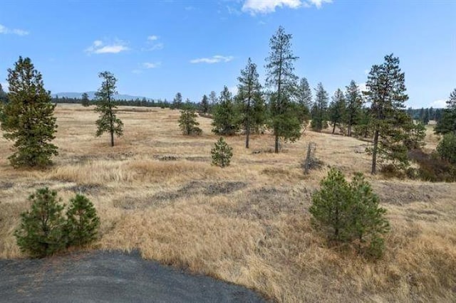 Listing photo 2 for 2103 E Red Barn Ln, Spangle WA 99031