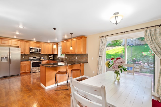 kitchen featuring tasteful backsplash, a healthy amount of sunlight, a peninsula, wood finished floors, and stainless steel appliances