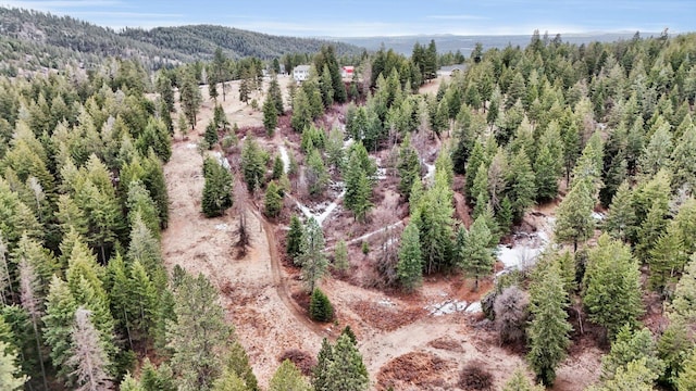 bird's eye view with a wooded view