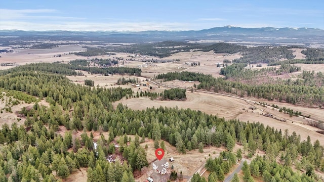 aerial view with a mountain view