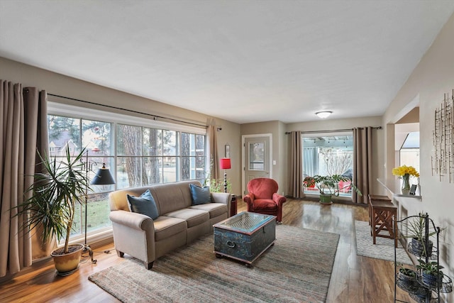 living room with wood finished floors and a wealth of natural light