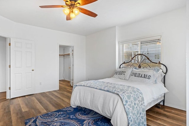 bedroom with a walk in closet, wood finished floors, baseboards, and ceiling fan