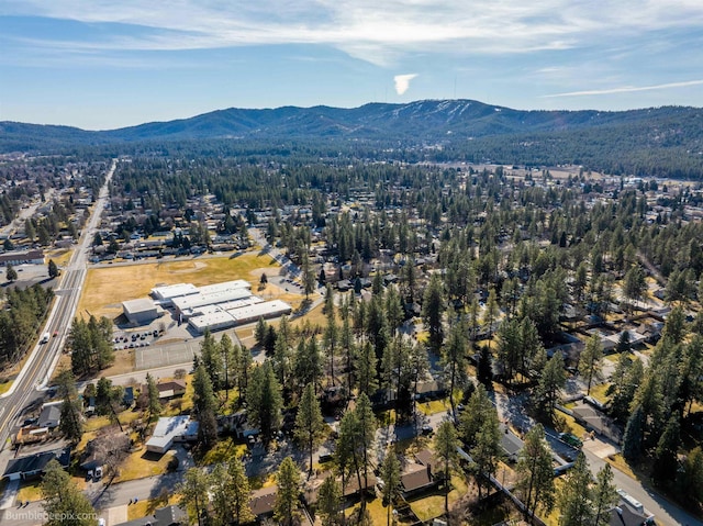 aerial view with a mountain view