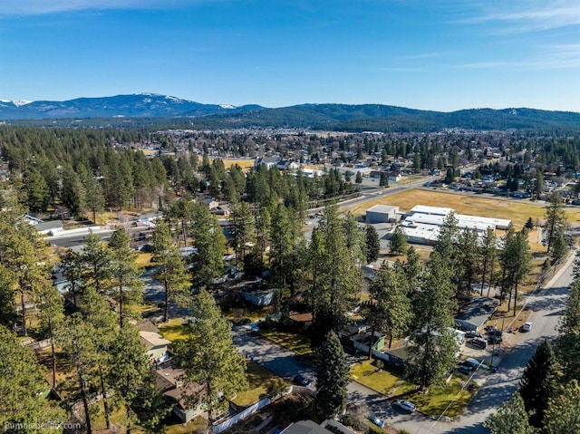 birds eye view of property with a mountain view