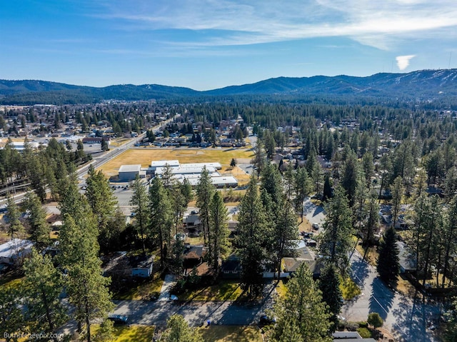 drone / aerial view featuring a mountain view