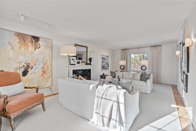 living room with a premium fireplace, wood finished floors, and track lighting