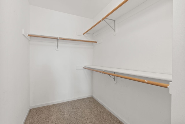 spacious closet with light carpet