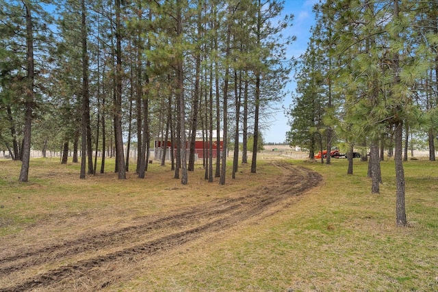 view of community featuring a lawn