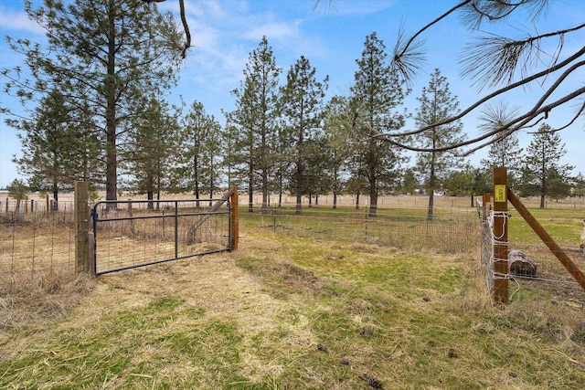 view of yard featuring fence and a gate