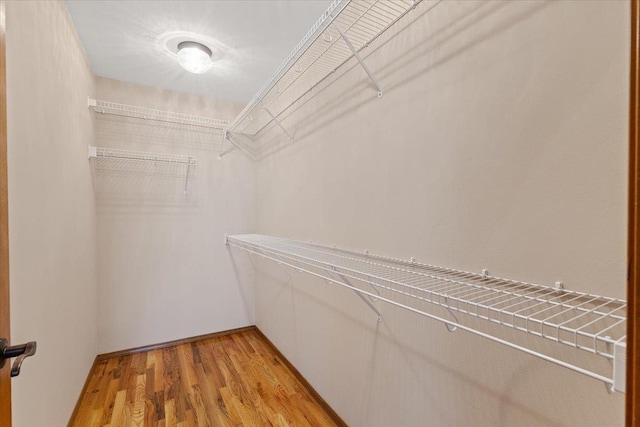 walk in closet with light wood-type flooring