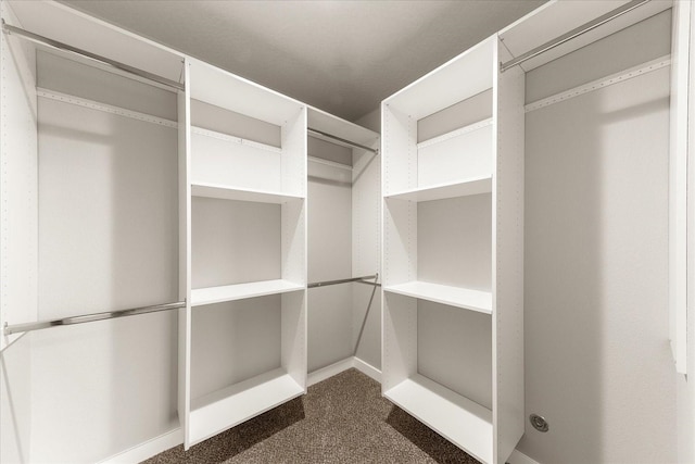 spacious closet with dark carpet