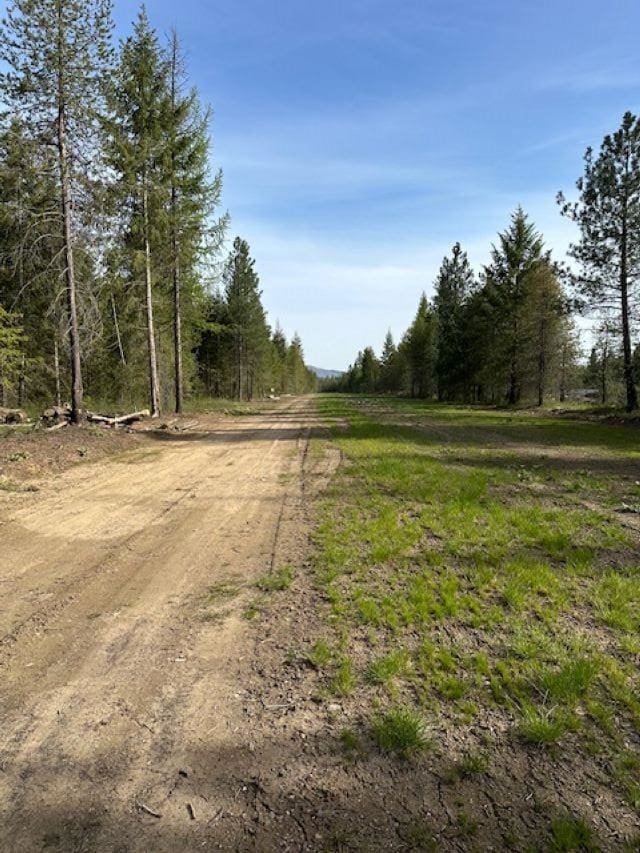 4109 Cemetery Rd, Springdale WA, 99173 land for sale