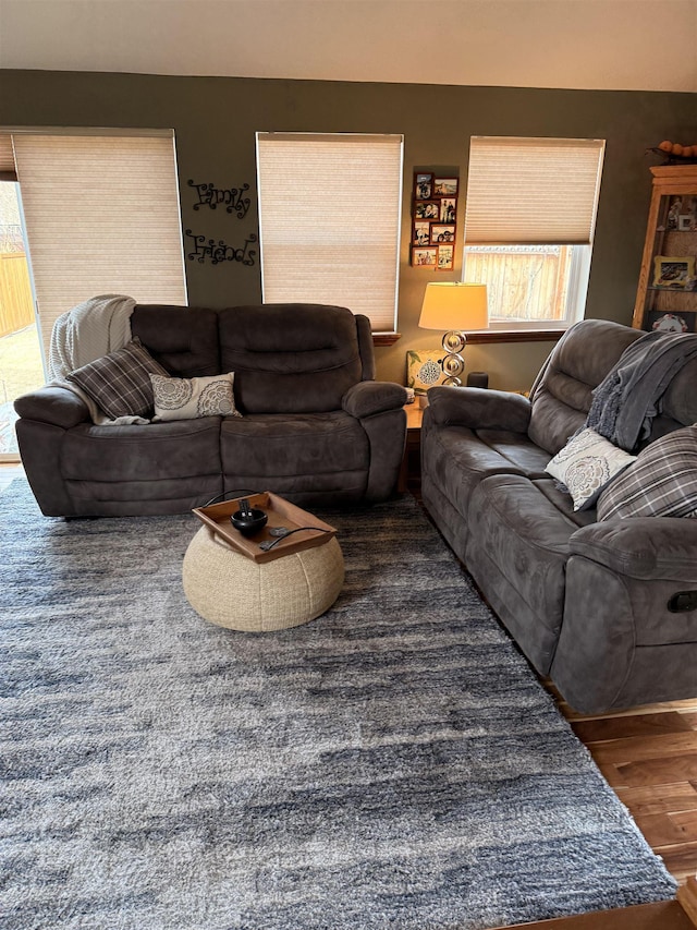 living room featuring wood finished floors