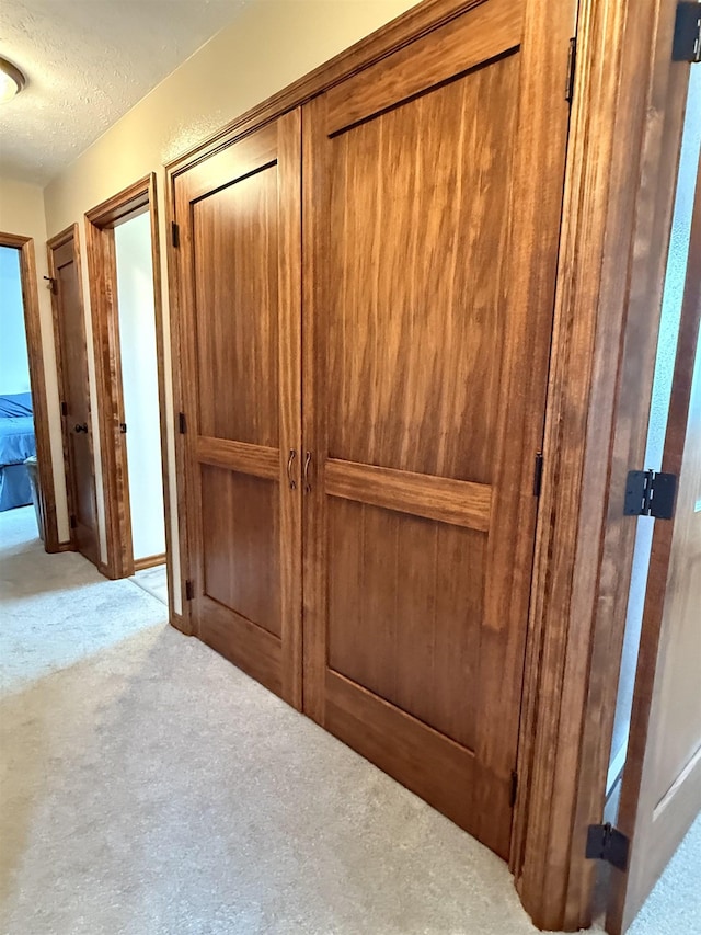 interior space featuring carpet and a textured ceiling