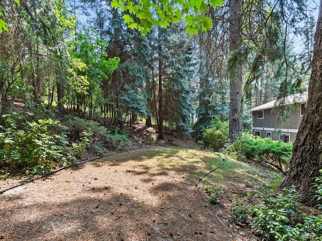 view of yard with a view of trees