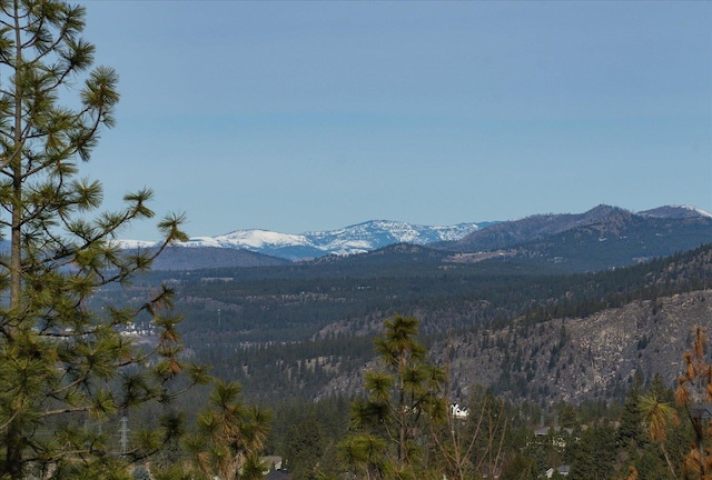 view of mountain feature with a view of trees