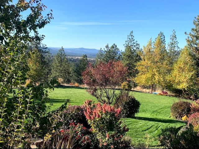 view of yard with a rural view and a mountain view