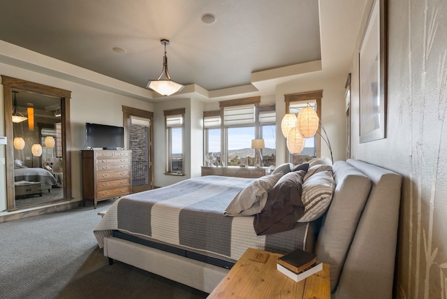 bedroom featuring a tray ceiling and carpet floors