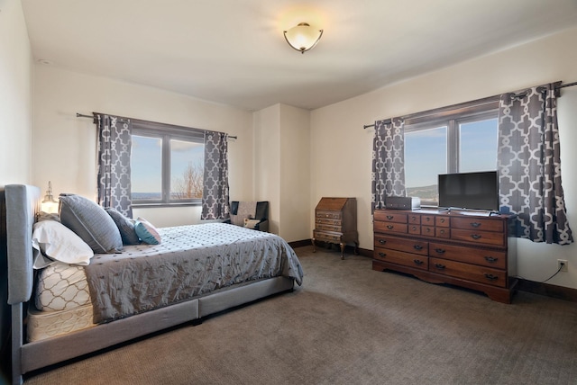 carpeted bedroom featuring multiple windows and baseboards