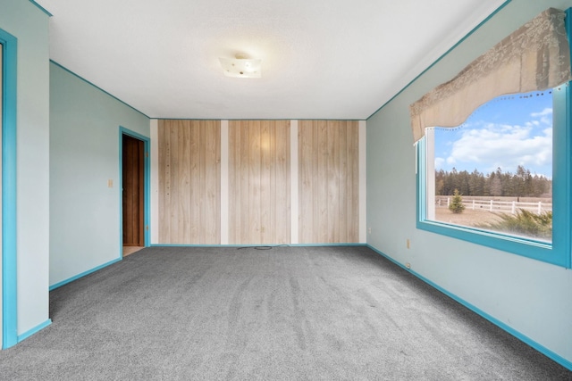 empty room with wooden walls, baseboards, and carpet floors