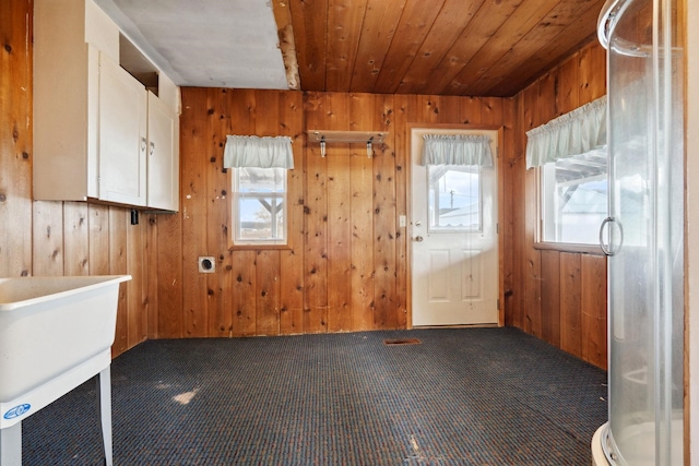 interior space with a sink, carpet, wooden ceiling, and wooden walls