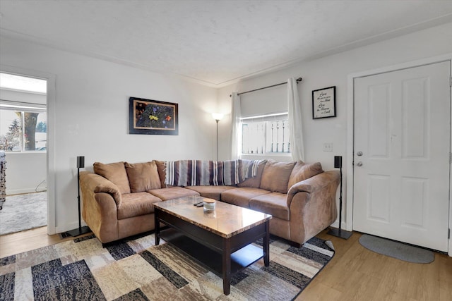 living area featuring baseboards and light wood-type flooring