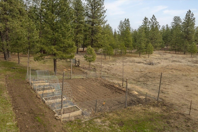 view of yard with a rural view, a vegetable garden, and fence